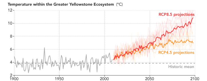 Graph of projected temperatres in the Greater Yellowstone Ecosystem