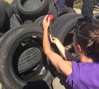 Pools of still water in tires provide a common breeding ground for mosquitoes. The Mosquito Habitat Mapper guides citizen scientists through the process of identifying and then eliminating breeding grounds.